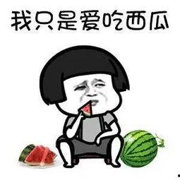 娱乐吃瓜用的音乐叫什么,揭秘流行乐坛的“瓜田乐章”