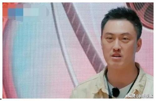 娱乐圈吃瓜爆料曹骏,揭秘明星背后的真相