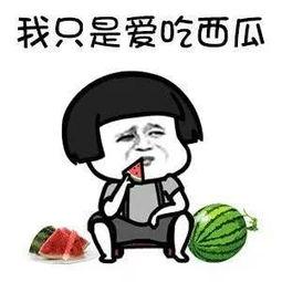 娱乐圈吃瓜有多累,揭秘明星幕后，揭秘你不知道的辛酸与真相